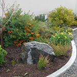 The colorful blooms and foliage stand in contrast to the grays of the house, accent boulder and rock path.
