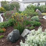 Low water use and low maintenance render this mulched bed a beauty.