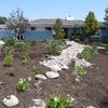 Removing all but some Bird of Paradise and Podocarpus trees, the site is reconfigured with a dry river run; a naturalized appeal.