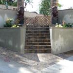 Plants are installed. All that remains are stucco finish coloring and the gate.